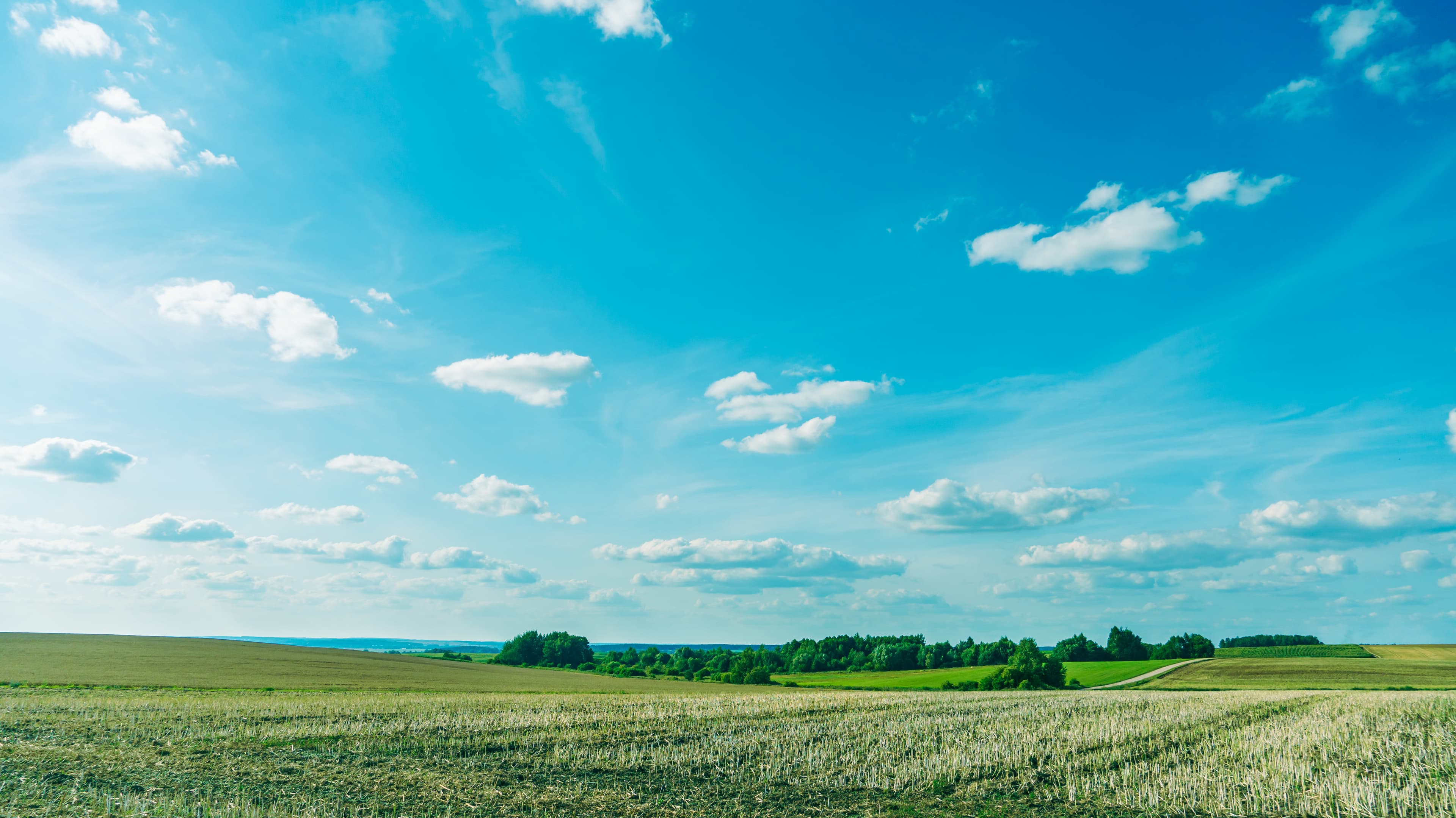 산소 생산 및 탄소 중립
